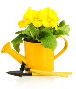 shutterstock_135056423